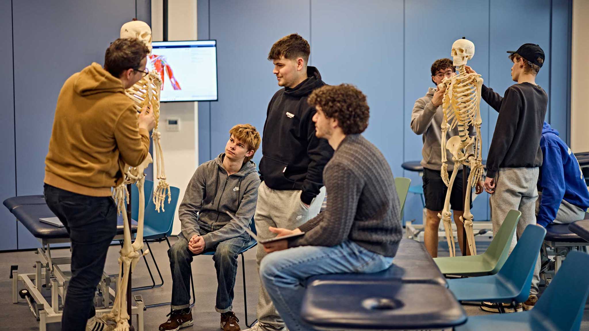 Musculoskeletal anatomy practical session